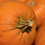 Ricette con la zucca - Ricettepercucinare.com