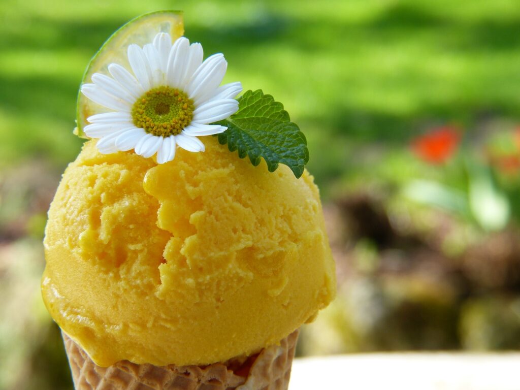 Come Fare Il Gelato In Casa? 3 Idee Da Copiare | MyItalian Ricette Italiane